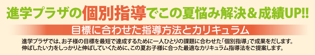 進学プラザの個別指導でこの夏の悩み解決＆成績アップ！
